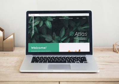 Atlas Branding Exercise